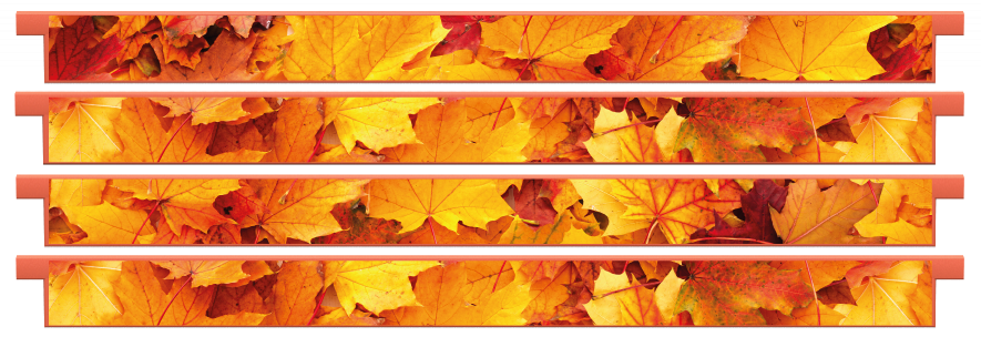 Planks > Straight Plank x 4 > Autumn Leaves